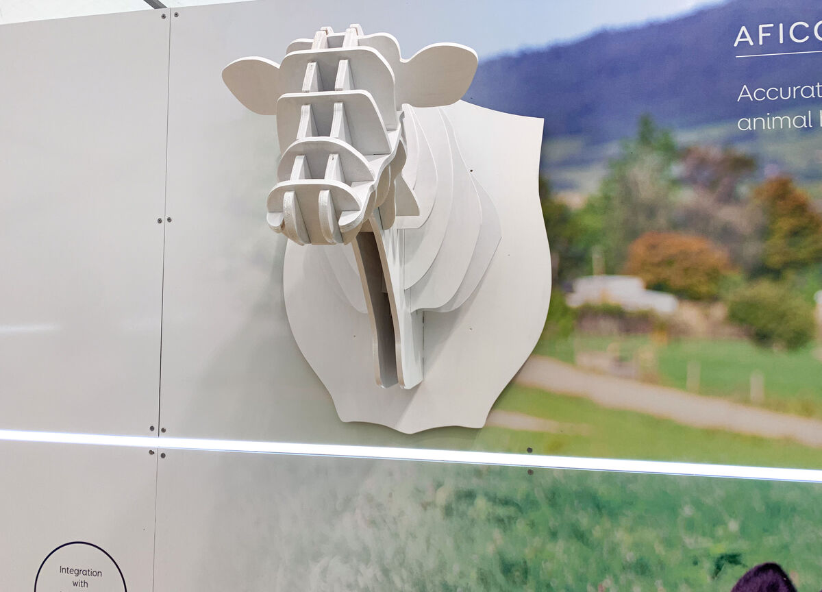 Custom Sign Solutions
