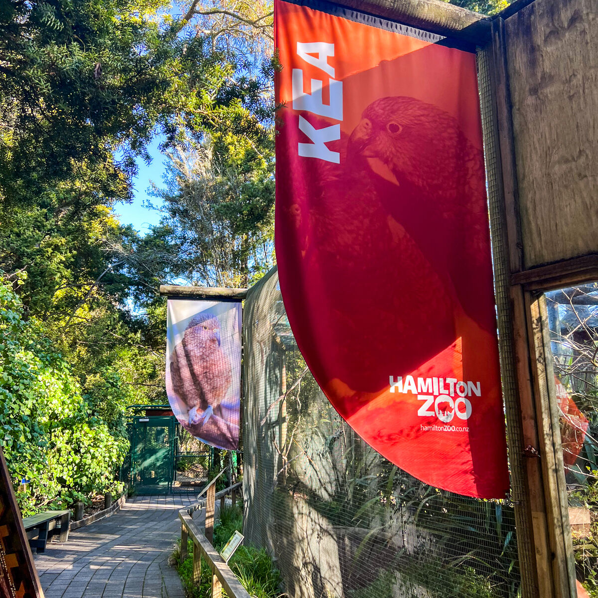 Street Flags