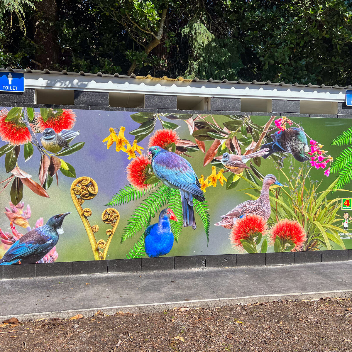 Wall Murals