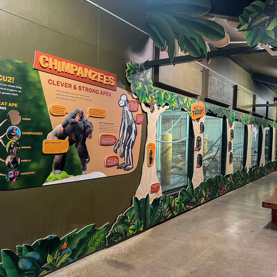 Vivid Images signage solutions